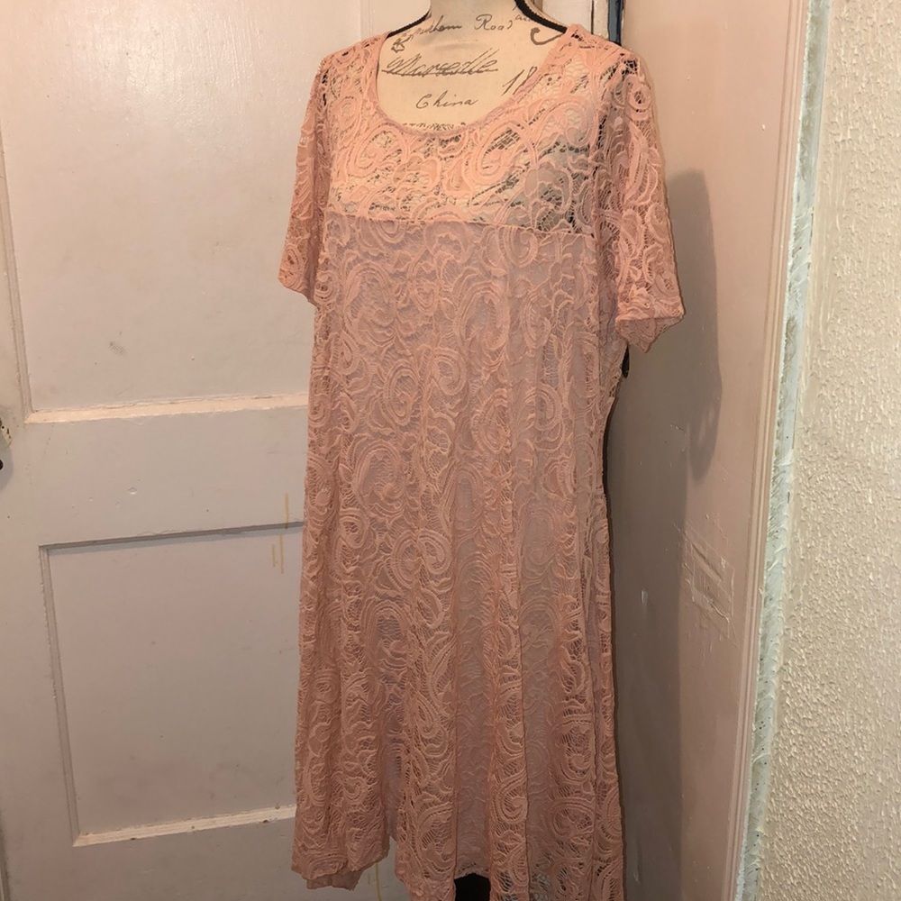Lane Bryant